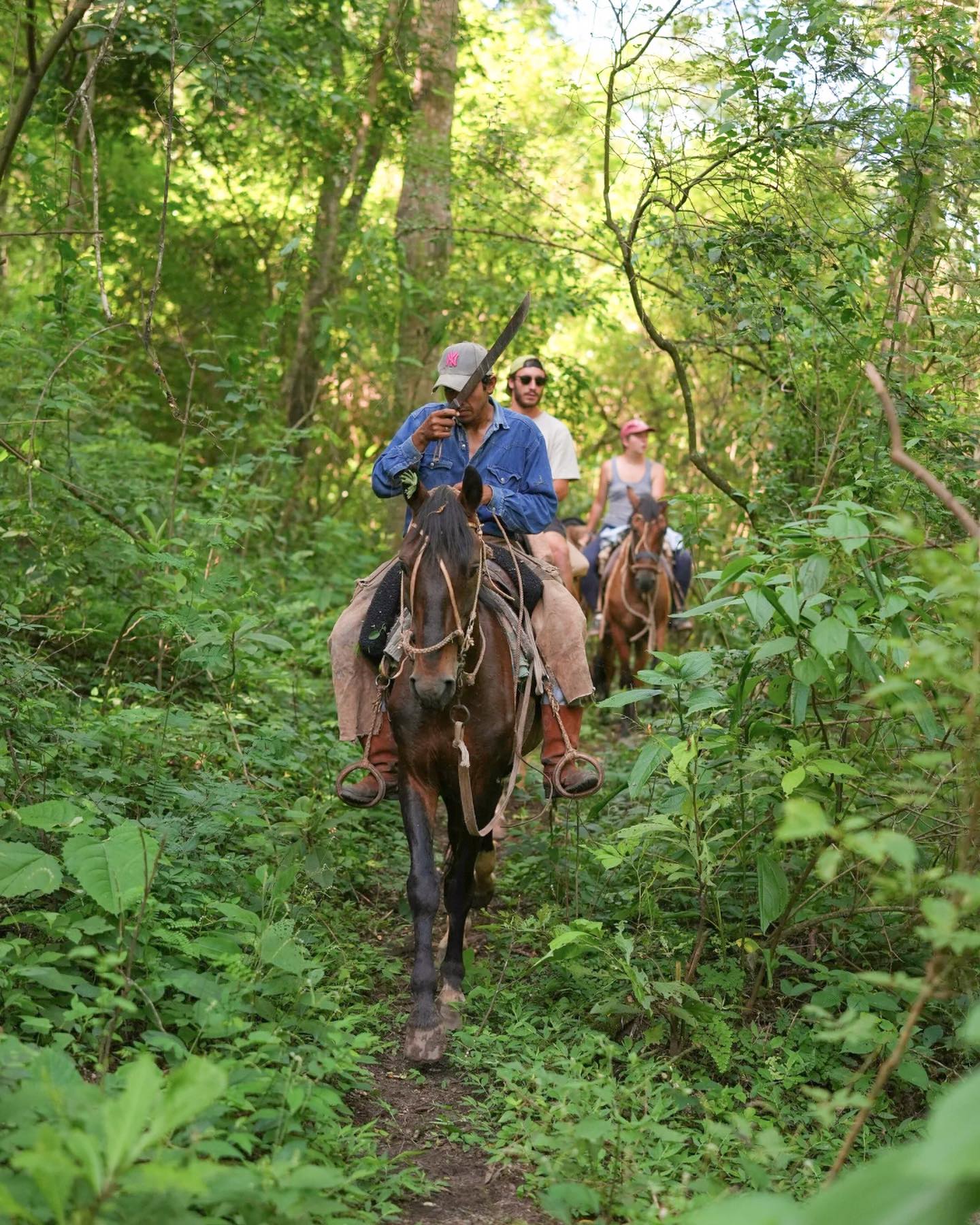 445046279_18027300929312694_7518056887148022641_n