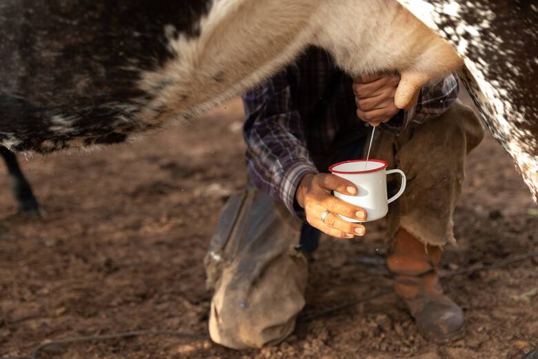 el-capuccino-de-las-yungas-en-una-taza-vierte-ZZMMIC6C6ZAOHOFRKTJFPRU37E
