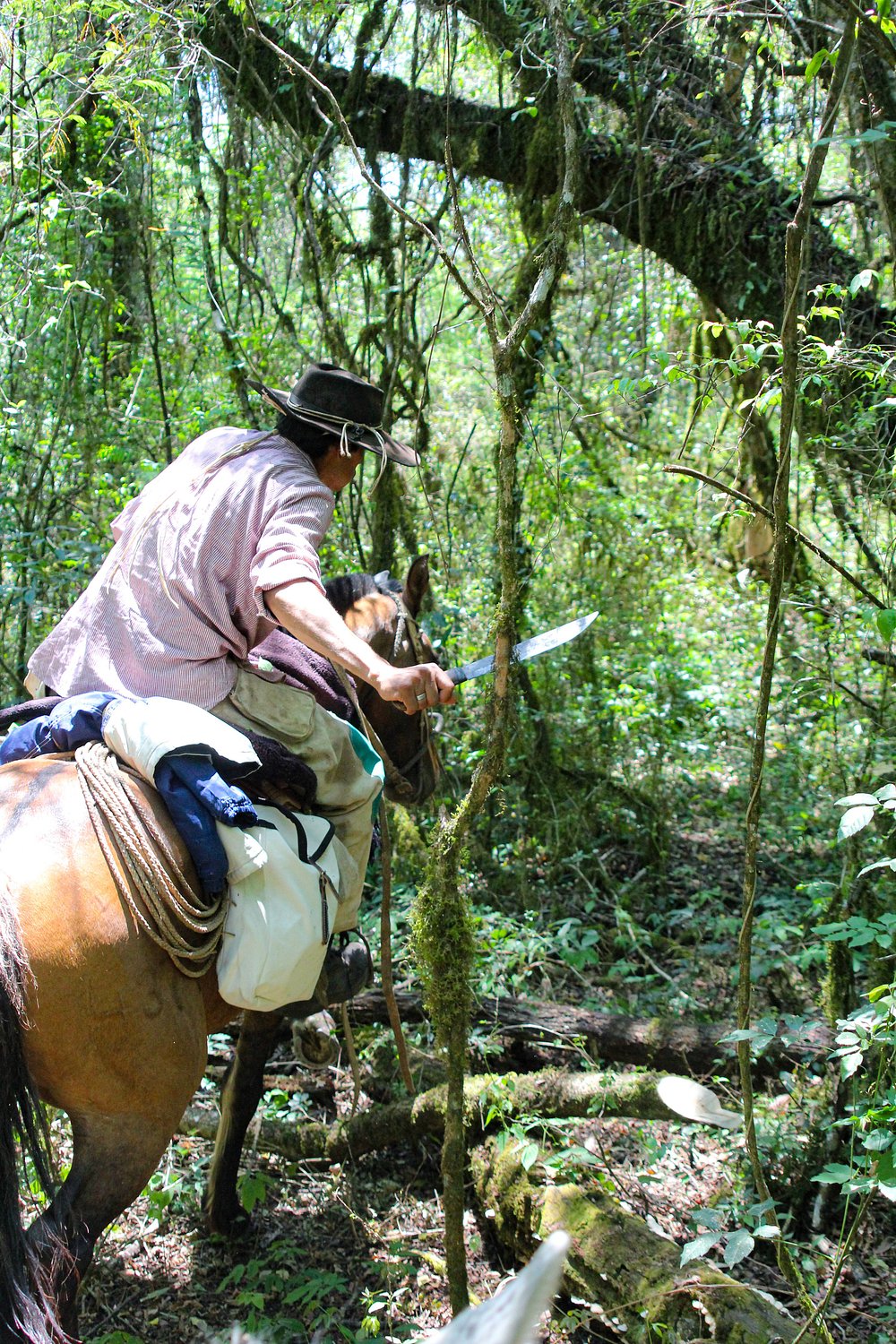 horse-back-riding-with
